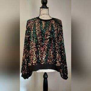 Anthropologie STELLA NOVA "KINDA" Sequin Blouse Sweatshirt, size 10
